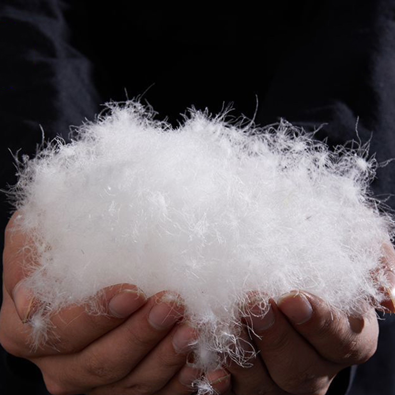 90% Angsa Putih Bawah