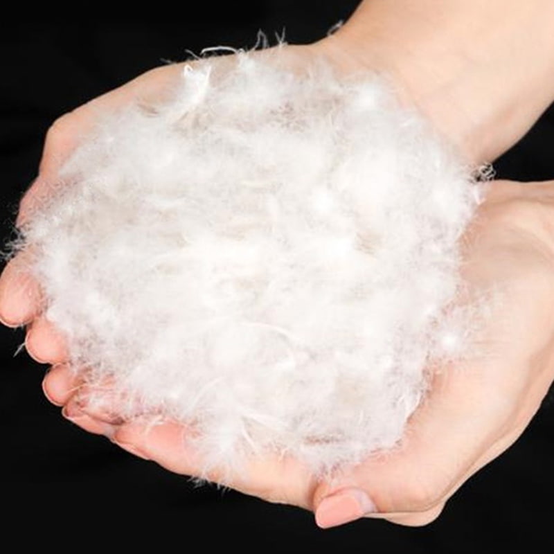 90% Angsa Putih Tulen