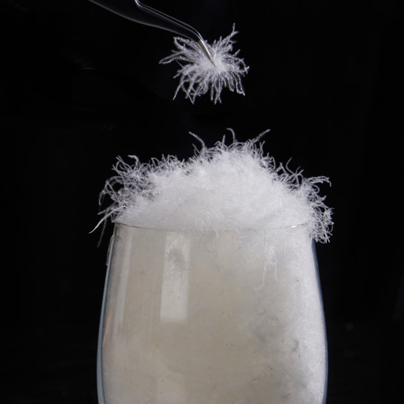 50% Angsa Putih Bawah