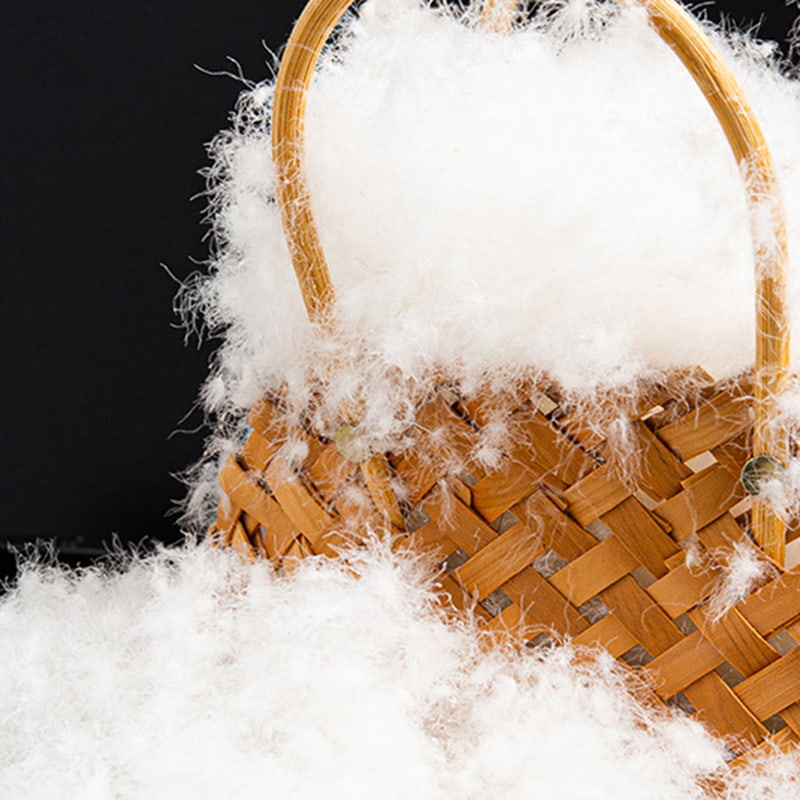 50% Angsa Putih Tulen